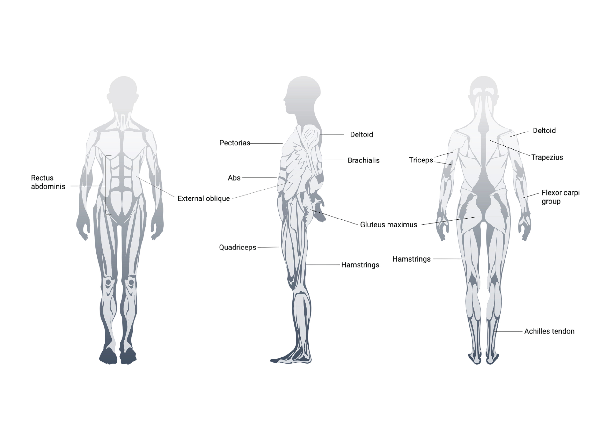 body-03
